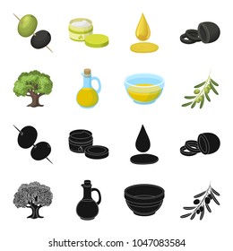 An olive tree, a branch with olives, a vessel and a jug of oil. Olives set collection icons in black,cartoon style vector symbol stock illustration web.