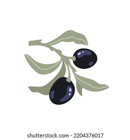 Olive tree branch with ripe fruits and leaves. Flat vector graphics.