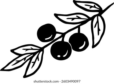 olive tree branch stock illustration