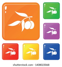 Olive tree branch with two olives icons set collection vector 6 color isolated on white background
