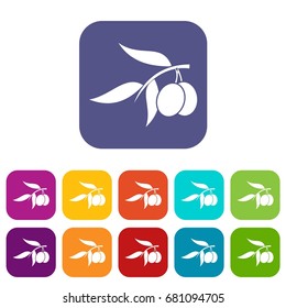 Olive tree branch with two olives icons set vector illustration in flat style in colors red, blue, green, and other