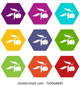 Olive tree branch with two olives icon set many color hexahedron isolated on white vector illustration