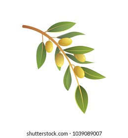 Olive tree branch vector illustration in cartoon style.