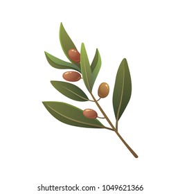 Olive tree branch vector illustration in cartoon style.