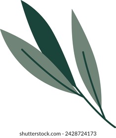 Olive Tree Branch Vector Illustration
