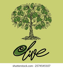 Olive tree and olive branch. Vector illustration for label design, packaging