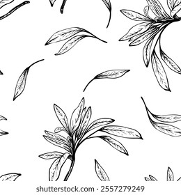 Padrão sem emenda do vetor do ramo da oliveira. Sem frutas com folhas. Desenho linear de tinta preta. Ilustração desenhada à mão. Alecrim sem frutos, clipart folha baia para papel de parede, tecido. Isolado do plano de fundo