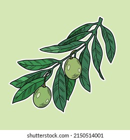 Olive tree branch with veins and green olive berries, line, natural vector botanical illustration, decorative element