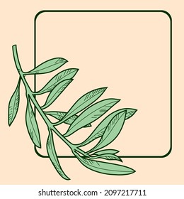 Olive tree branch without berries, vector illustration on beige background with green leaves with a square text frame