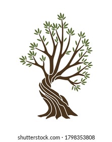 Árbol de oliva con ramas y pancarta de hojas verdes. Etiqueta griega antigua dibujada a mano, signo de tienda vegetariana natural. Diseño de calidad superior