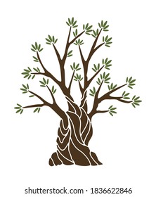 Olive tree with branches and green leaves banner. Hand drawn ancient greek label, natural vegetarian shop sign. Premium quality design concept