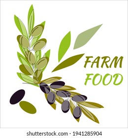 Olive tree branches with green and ripe olives. Vector illustrations in pastel green and purple colors for design, farmers market, food labels, banners, stickers, textiles in watercolor style.