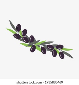 Olive tree branches with ripe olives. Vector illustration in trendy green colors for design, farmers market decoration, food labels, banners, stickers.