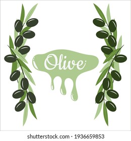 Olive tree branches with ripe olives, frame, text on colored background. Vector illustration in trendy green colors for design, farmers market decoration, food labels, banners, stickers.