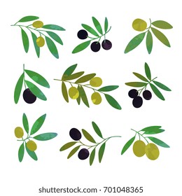 Olive tree branches set of colorful vector Illustrations