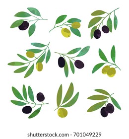 Olive tree branches set of colorful vector Illustrations