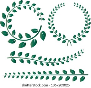 Olive tree branches. Set for use in decoration.