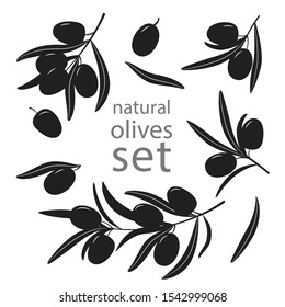 Olive tree branches  silhouette big collection Isolated on white background.1