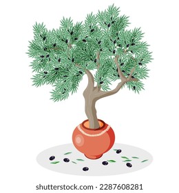 Olive tree in a clay pot decorated with a rope on a white background. Mediterranean plants. Vector illustration.