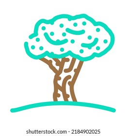 olive tree color icon vector. olive tree sign. isolated symbol illustration