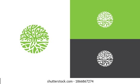 Olive Tree Creative Logo Design. Green Olive Tree Vector Template