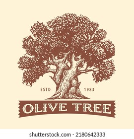 Olive Tree. Design element for decoration olive oil. Hand drawn Sketch vector illustration in vintage engraving style