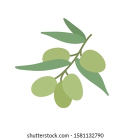 olive tree doodle icon, vector illustration