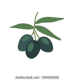 olive tree doodle icon, vector illustration