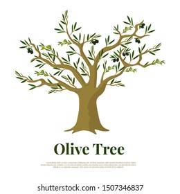 Olive tree flat vector banner template. Mediterranean farm plant poster design with text space. Black olives and leaves on branches illustration. Oil production and manufacturing farmland