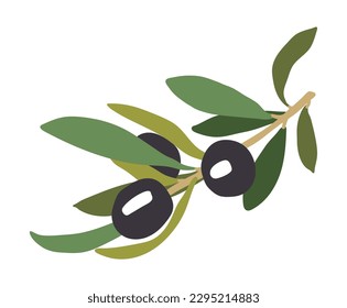 Olive tree fruit illustration. The olive is an edible fruit, and the fruit and its oil are key elements of Mediterranean cuisine.