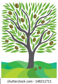 Olive tree full of black olives isolated on white background. Vector