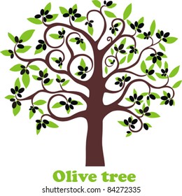 Olive tree full of black olives isolated on white background. Vector Illustration
