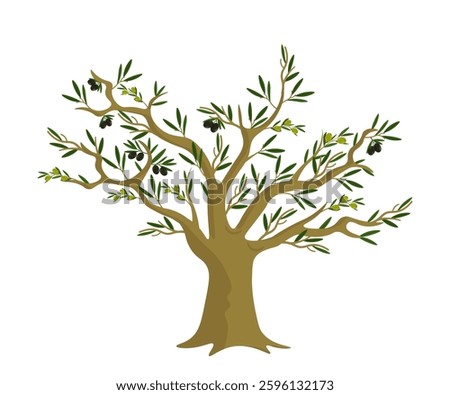 Olive tree with green leaves and ripe black and green olives. Classic Mediterranean tree with thick trunk and many branches. Food, farming, agriculture, botanical themes. Flat vector illustration.