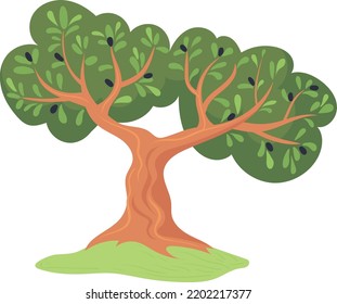 Olive tree icon. Cartoon oil farm plant isolated on white background