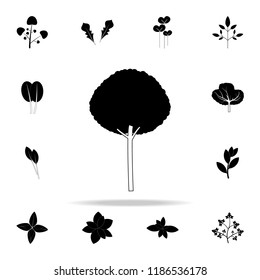 olive tree icon. Plants icons universal set for web and mobile