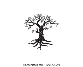 olive tree icon vector. tree and roots isolated on white