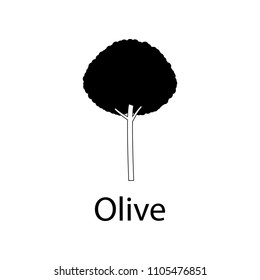 olive tree illustration. Element of plant icon for mobile concept and web apps. Detailed olive tree illustration can be used for web and mobile on white background