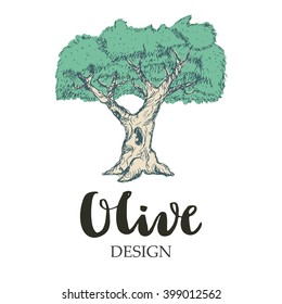 Olive tree illustration. Isolated on white background.