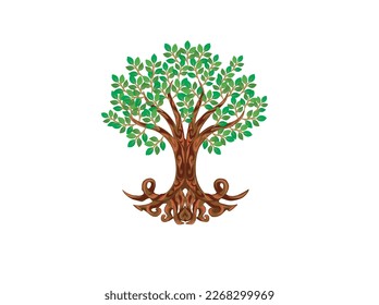 olive tree illustrations for wall art