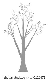 Olive tree isolated on white background