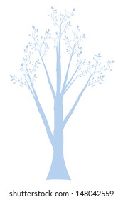 Olivenbaum einzeln auf weißem Hintergrund