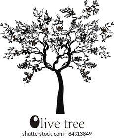 Olive tree isolated on white background. Vector illustration