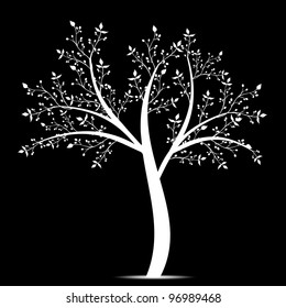 Olive tree isolated on white background