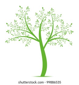 Olive tree isolated on white background