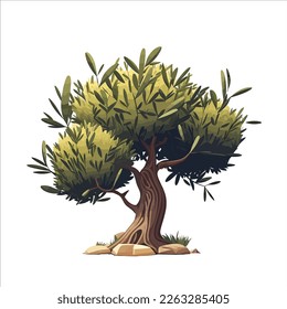 Olive tree isolated, vector illustration