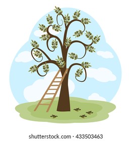 The olive tree and a ladder on green grass island on background of blue sky. Vector illustration