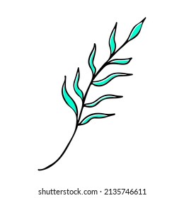 Icono de esbozo de la naturaleza de la hoja de olivo. Deja el elemento dibujado a mano por el vector botánico. Símbolo de ilustración de Doodle
