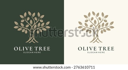 Olive tree logo design with branch and fruit Stock photo © 