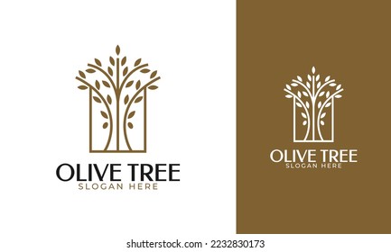 Olive tree logo design. Minimal branch symbol with elegant line