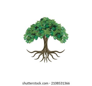 olive tree logo design vector isolated